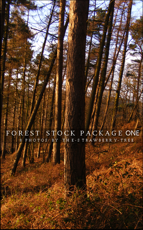 Forest stock package one