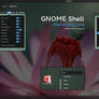 GNOME Shell - Elementary Luna