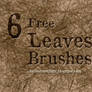 Free Brush Set 13: Leaves, Leaf veins