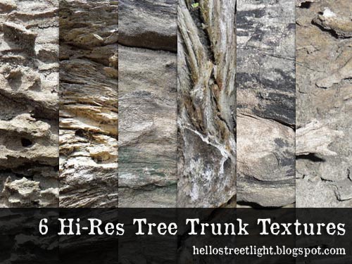 6 Hi-Res Tree Trunk Textures