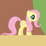 FLUTTERSHY NAVIGATE