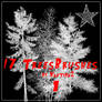 TreesBrushes1....Photoshop