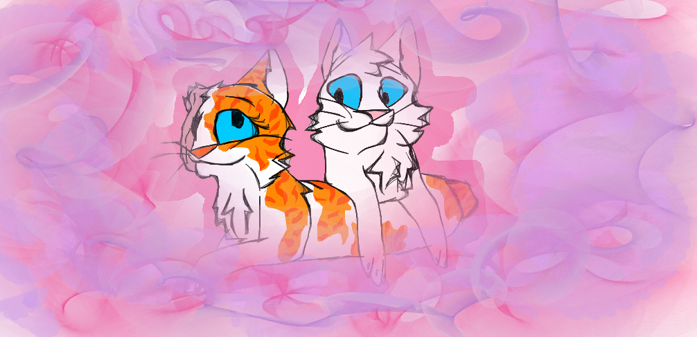 Brightheart and Cloudtail by CyanCreativity on DeviantArt