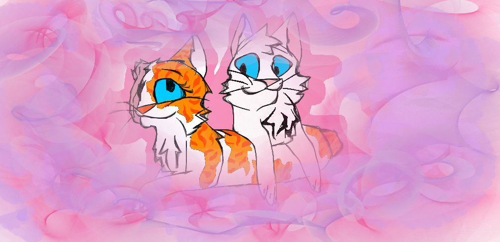 Brightheart and Cloudtail by CyanCreativity on DeviantArt