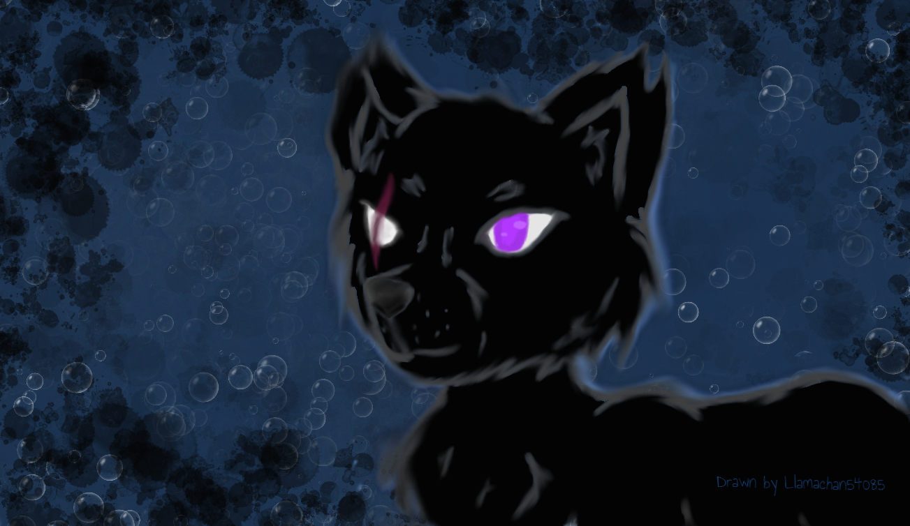 Black scared wolf Random drawing by Llamachan54085 on DeviantArt