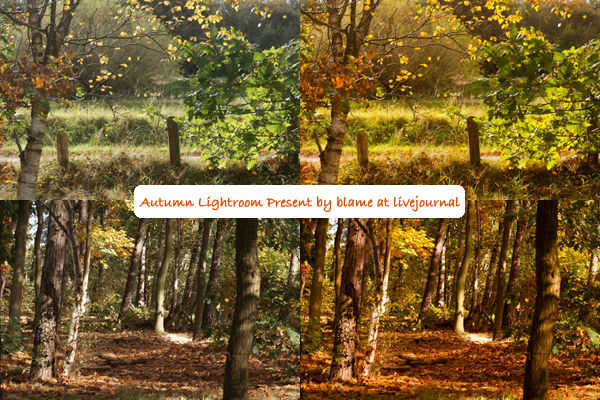 autumn 2 by Bourniio on DeviantArt