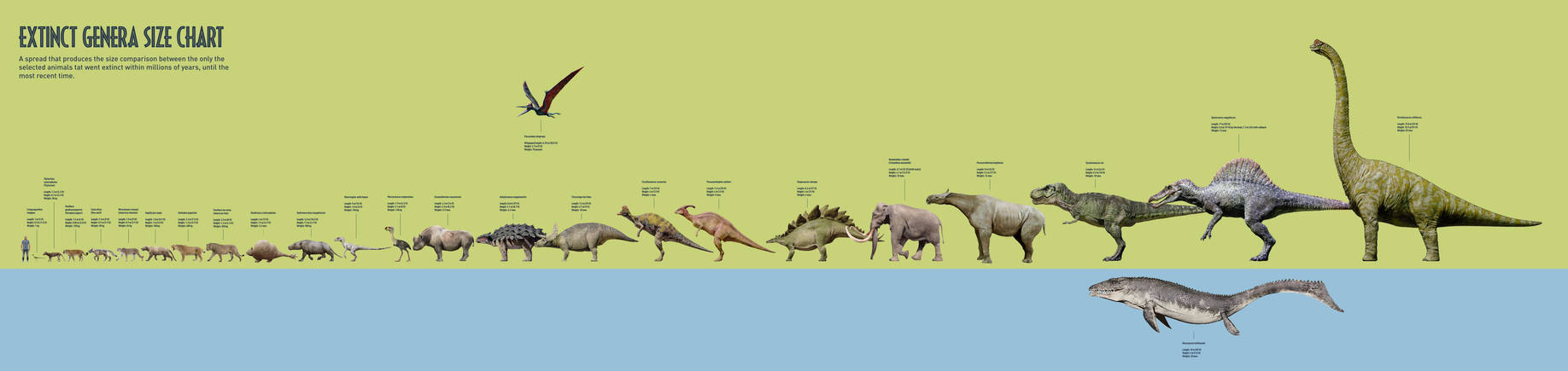 Size Chart of the Selected Extinct Genera