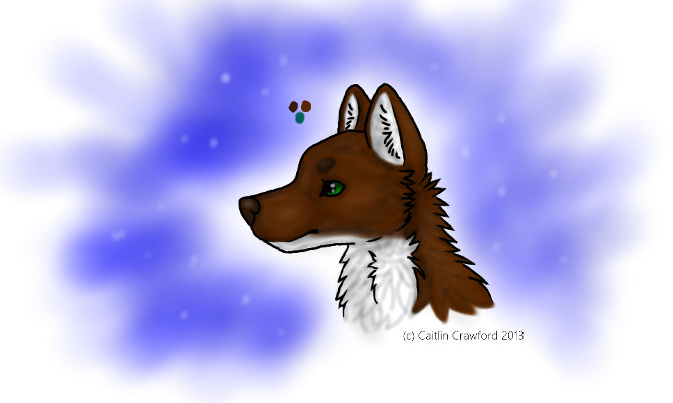 Wolf Attempt by CheyWolf on DeviantArt