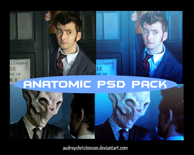 Anatomic PSD Pack