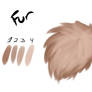 Free Fur Brush for Clip Studio Paint/Manga Studio