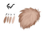 Free Fur Brush for Clip Studio Paint/Manga Studio