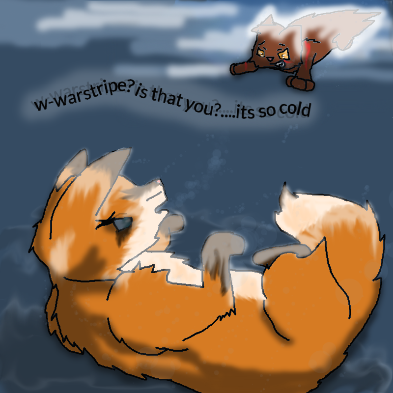 dawnpaw's death redue by frostthecat01 on DeviantArt