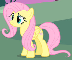 Fluttershy (Mane 6 #6)