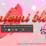MIAMI BLOSSOM STYLES PREMIUM