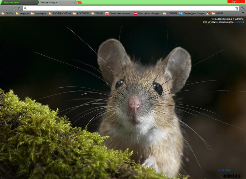 Themes Google Chrome Fun Mouse By Googlefan On Deviantart