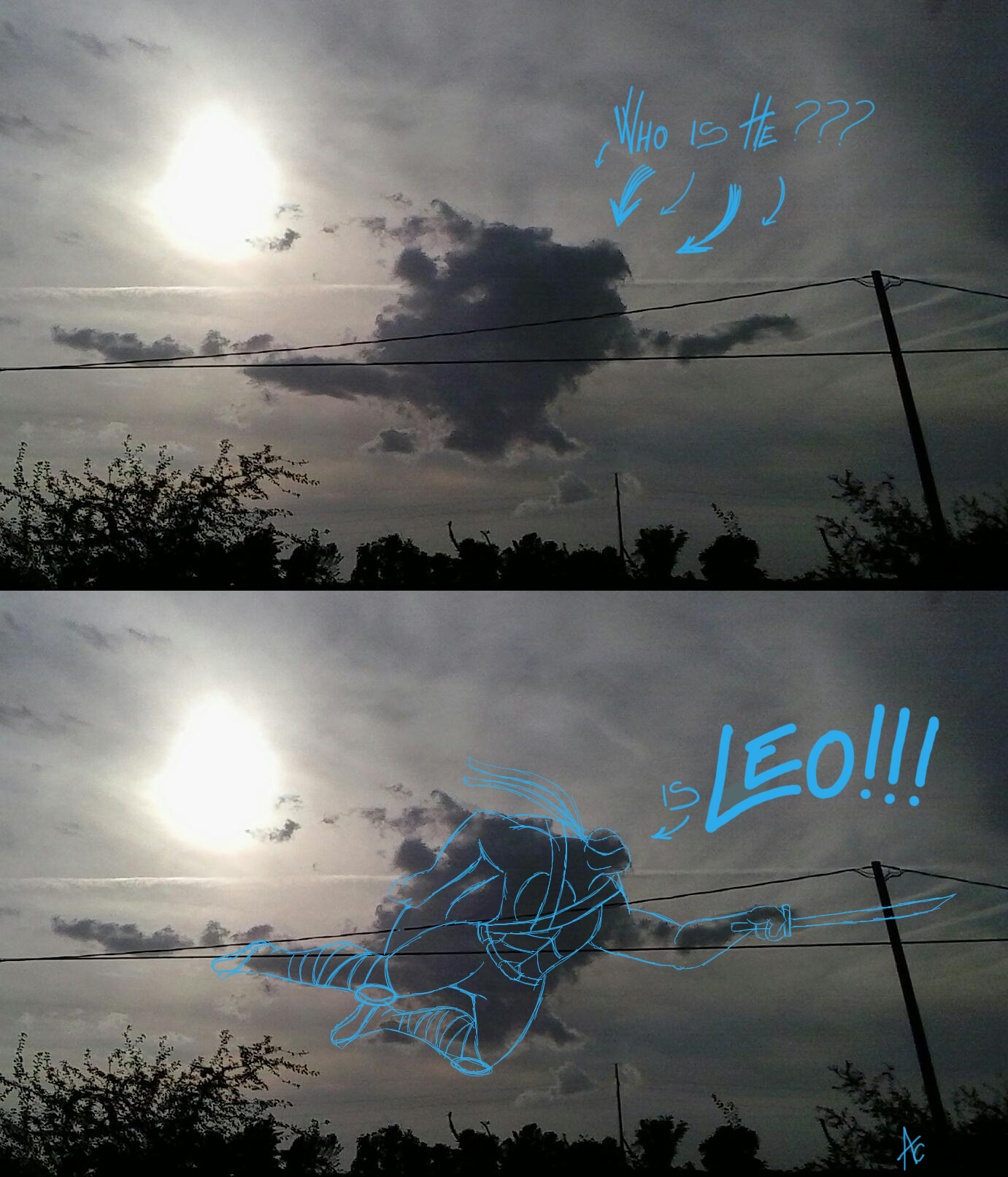 Leo cloud