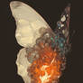  A Butterfly Wing On Fire 