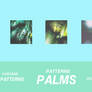 +PATTERNS - PALMS +