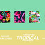 TROPICAL FLOWERS - PATTERNS