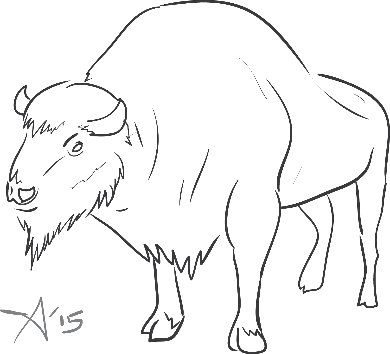 European bison sketch by Avetrus on DeviantArt