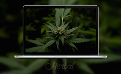 Herbal