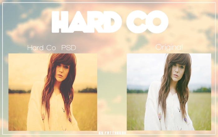 Hard Co [PSD DL]