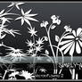 Vector-Flowers 2 -PS Brushes