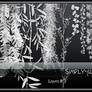 Leaves 3