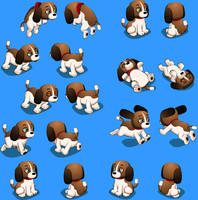 Beagle Puppy Animations