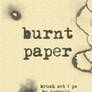 burnt paper brush