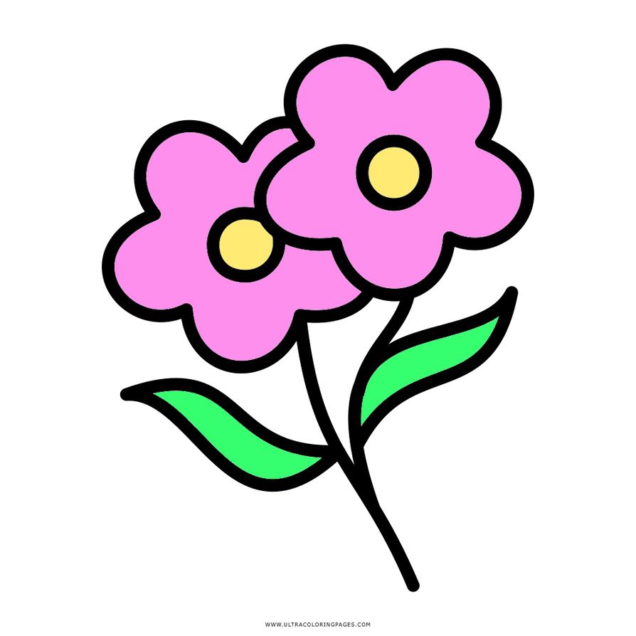 Pink flowers