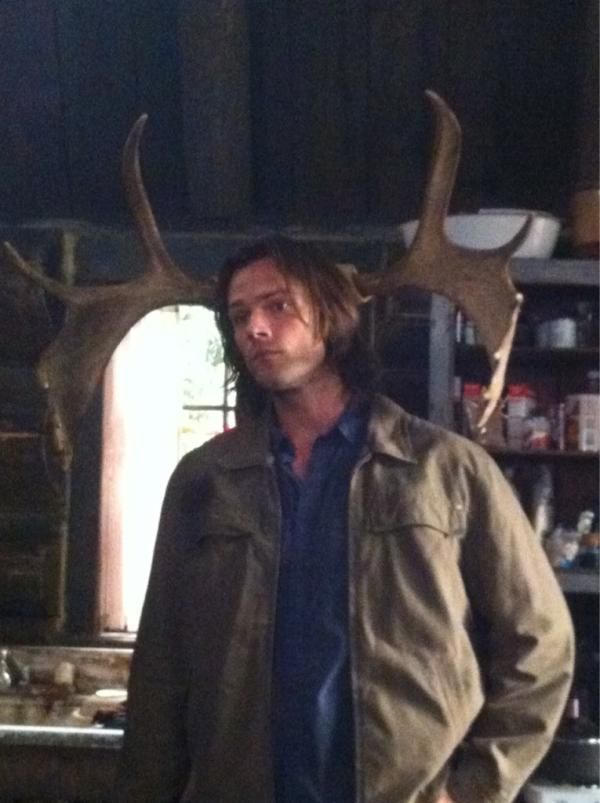 Sam Winchester x Reader by DawnOfTheAgez on DeviantArt