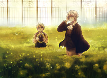 Glass Garden by Cioccolatodorima