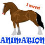 Bay horse animation