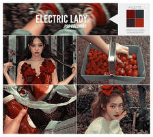 electric lady - harupsds from crowngraphic