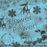 Set 13 - Flower Power