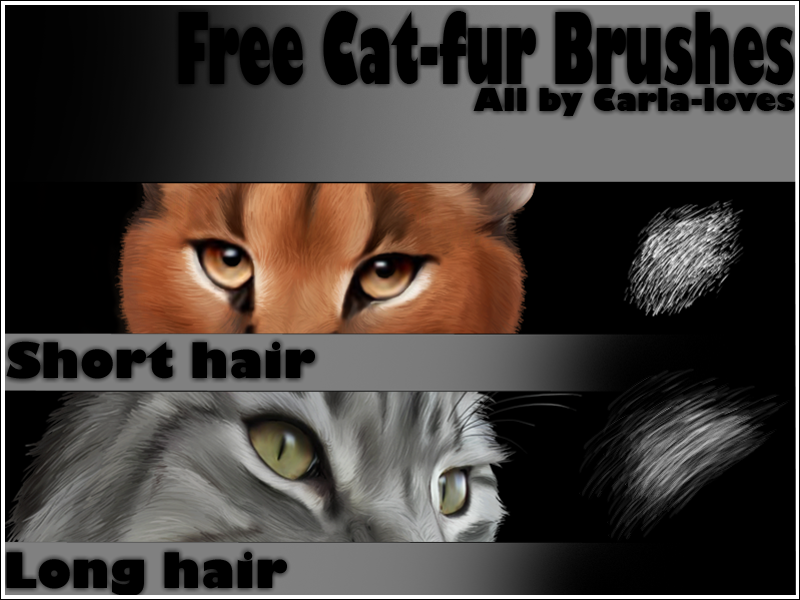 Brush Fur Long