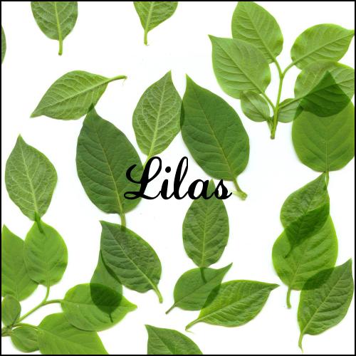 lilas