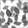 image pack lilas