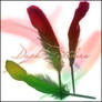 duck feather