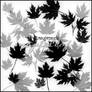 image pack maple leaf