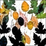 foliage 03