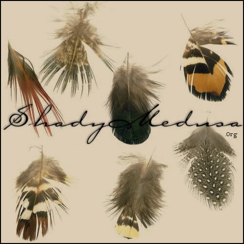 mix-feathers