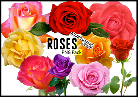 Roses PNG Pack