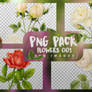 PNG~FLOWER PACK 001