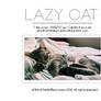 Lazy Cat | WALLPAPER