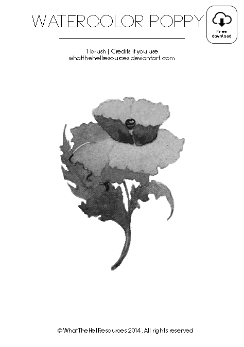 Watercolor Poppy | Brush