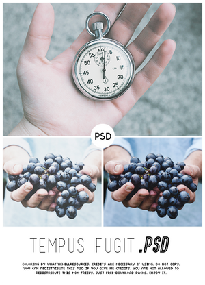 Tempus Fugit | PSD by WhatTheHellResources