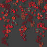 FLORAL PNG FREE USE