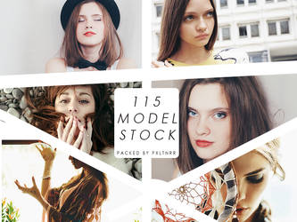 Model Stock Pack